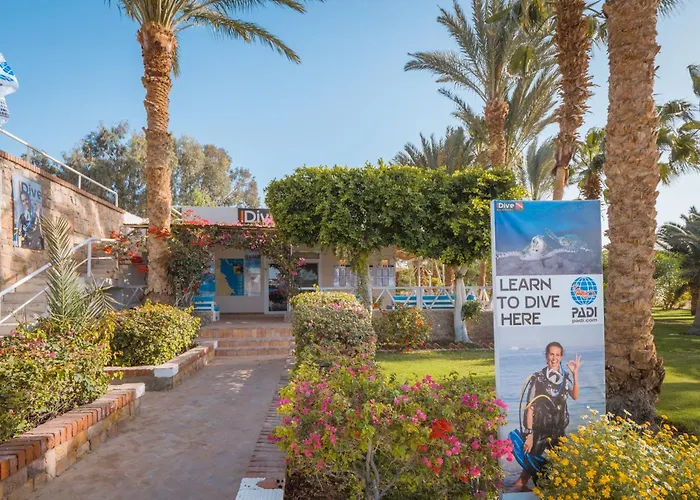 Arabesque Resort, & 4* Hurghada