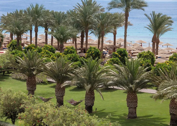 Arabesque Resort, & Hurgada
